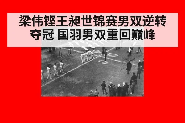 梁伟铿王昶世锦赛男双逆转夺冠 国羽男双重回巅峰 | j9 game